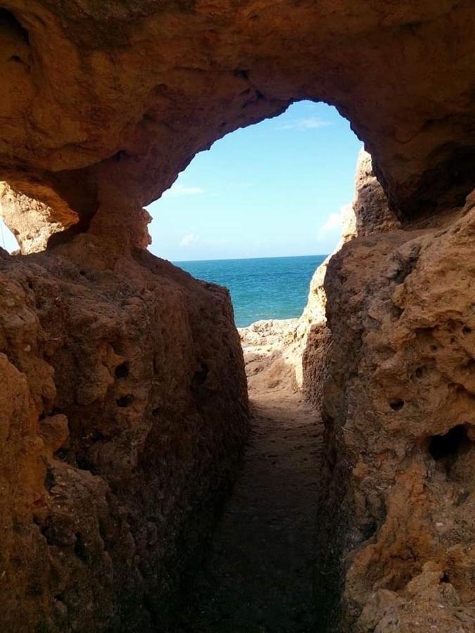 Al Algarve - Alojamento Local Com Excelente Localizacao Карвоейру Экстерьер фото