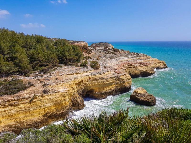 Al Algarve - Alojamento Local Com Excelente Localizacao Карвоейру Экстерьер фото